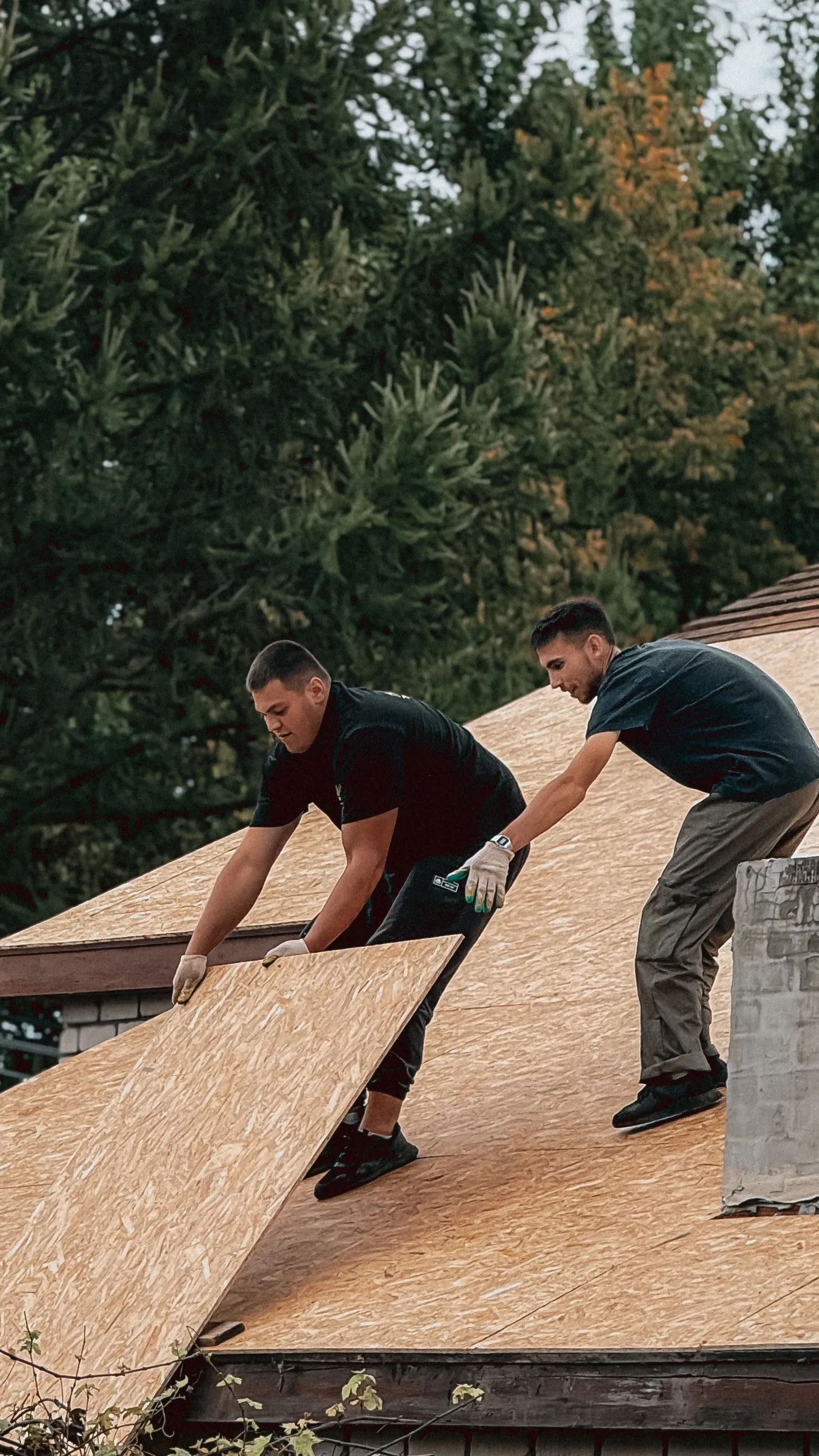 Two roofers laying new decking across a stripped roof
